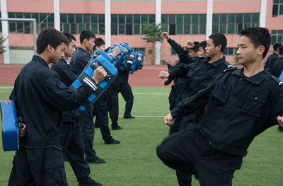 初中女生未来之路：热门专业领域的璀璨选择